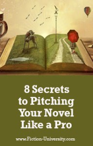 8 Secrets to Pitching Your Novel Like a Pro